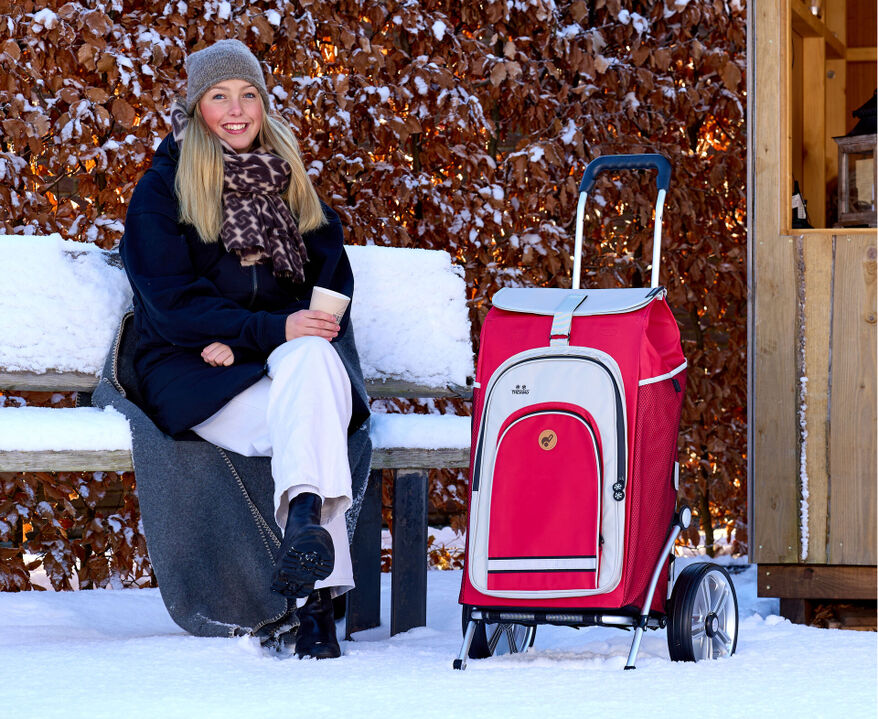 Einkaufswagen & -körbe