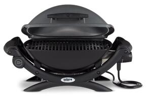 weber q 1400 (3).jpg