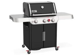 genesis se e 325s 3.jpg