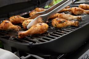 weber q2200n mit stand (3).jpg