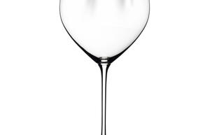 6884 97 performance optik chardonnay white unfilled.jpg