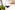 6884 67 riedel performance pinot noir genussletter lachs pinot 3.jpg