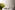 6330 28 riedel veloce champagne wine glass 2.jpg